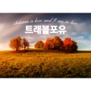 포유트래블 이미지