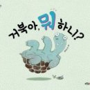 거북이의 호의 이미지