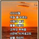 사시사철 이미지