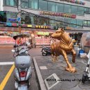 손건호의 한우일번지 이미지