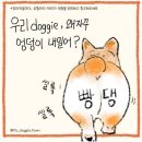 강아지 정보(엉덩이/주행성동물) 41 이미지