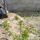 별샘농장 이미지