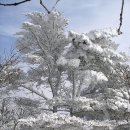 (주)덕유 이미지