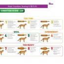 이광수동물병원 이미지