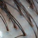 다모드림의원 이미지