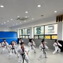 태권도장 채움 이미지