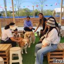 2023 국제농업박람회 이미지