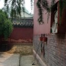 주선 이미지