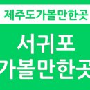 베네키아 중문호텔 이미지