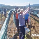 충주시시설관리공단노동조합 이미지