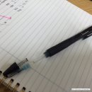 새댁의 두 번째 명절. 일상 털기.