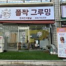 폴짝그루밍 이미지