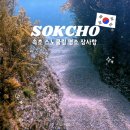 장사항 | 속초 스노쿨링 명소 추천 장사항 후기 주차 샤워