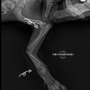 부평스카이 이미지