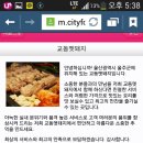교동멧돼지