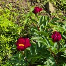 매물도별장민박 이미지