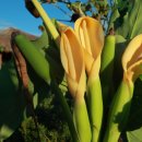 금현농장 이미지