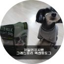 더나은펫 이미지