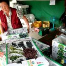 천현농장 이미지