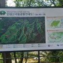 소금강메밀막국수 이미지