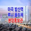 플라체