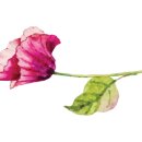 수채수묵 캘리그라피 이미지