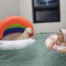 포레스트258/포레스트258펜션 이미지