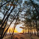 장사솔밭펜션 이미지