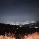 세종세무서 조치원민원실 이미지