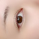 마이뷰티독스타필드위례점 | 미사 속눈썹 잘하는 곳 , 더결 노글루펌 후기 하남 속눈썹펌 추천