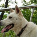 양평가축병원 이미지