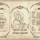 청주고양이입양지원센터 애니멀공화국 이미지