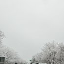 [공지] ✔️23.12.19.(화) 한라산1100고지 실시간 cctv/제주교통정보센터/제주경찰청 교통정보