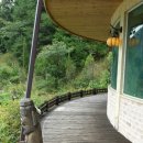 곰비님비 이미지