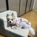 2023 Dec (1) (제리의 수술, 첫회식, 백소정, 축구팀 회식, 김장, 김나박이 콘서트, 좋은 사람들을 잔뜩...