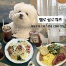 파리바게뜨도림점 | 서울 영등포역 근처 가성비 좋은 브런치 카페 헬로 팔로워즈 | 애견동반카페