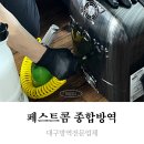 대구방역전문업체 페스트콤 종합방역, 수성구 바퀴벌레 예방과 벌레퇴치 꼼꼼했어요