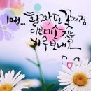십육일