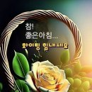 12월 28일 (목요일) 아침인사~ 이미지