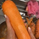 길영농장 이미지