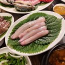 산꼼장어 이미지