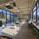 용문 애견 이미지