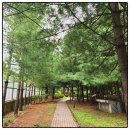 미래교육 | 예비중 학부모) 경기도교육청 중등 미래로그 교육 후기, 중학교 수행평가 준비