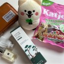 [강추] 라운드랩 소나무 진정 시카 선크림 진정 후기