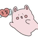 피씨토랑 이미지