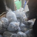 키즈빌치과의원 이미지