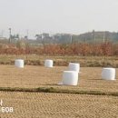 성환농협북부지점 이미지