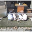 최원석의돼지한판&서해쭈꾸미건대1호점 이미지