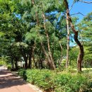 풀피리어린이공원 이미지