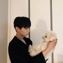 왈왈이 Daum카페